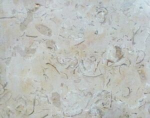 Echaillon blanc